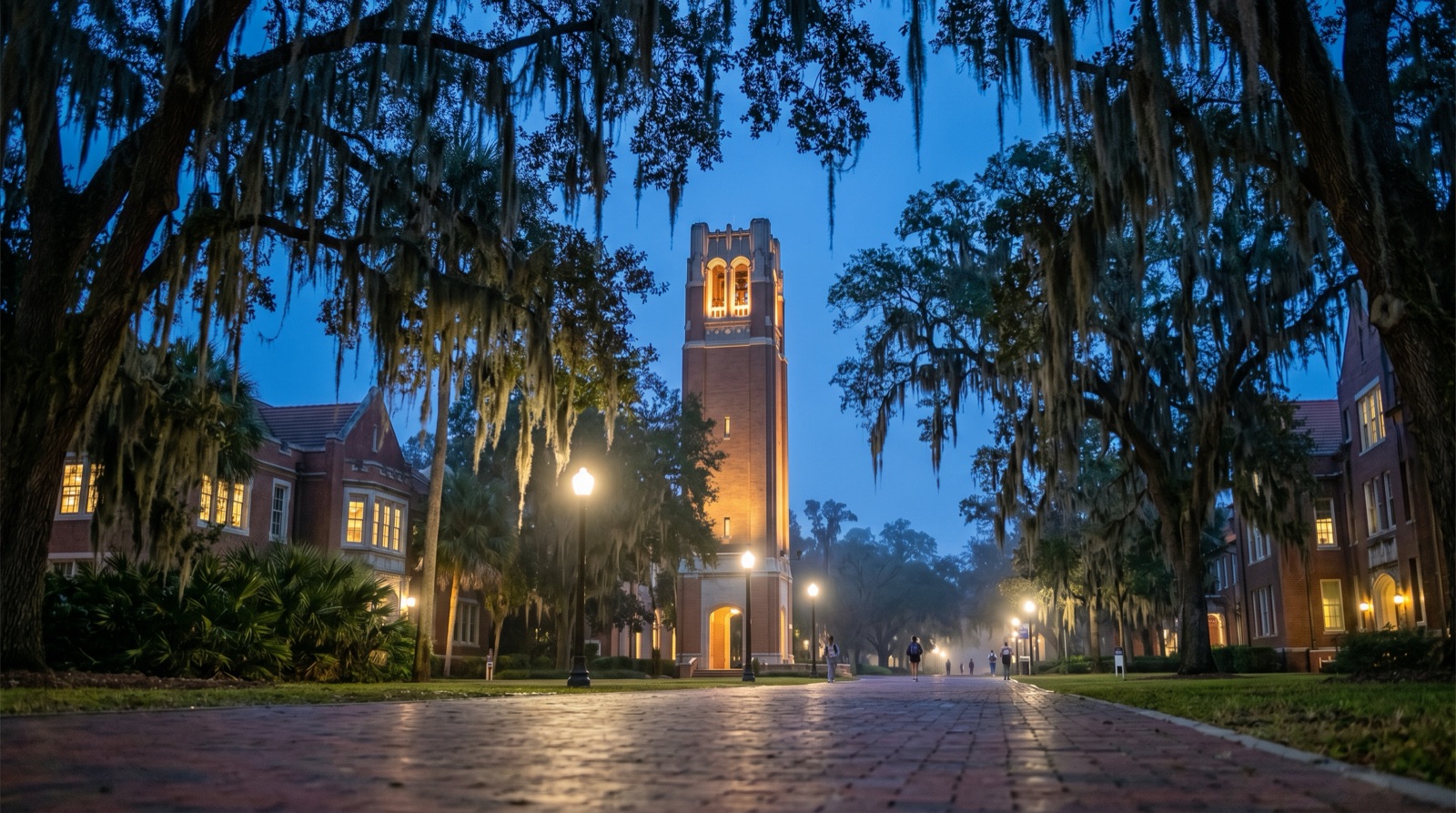 Private jet charter to Gainesville