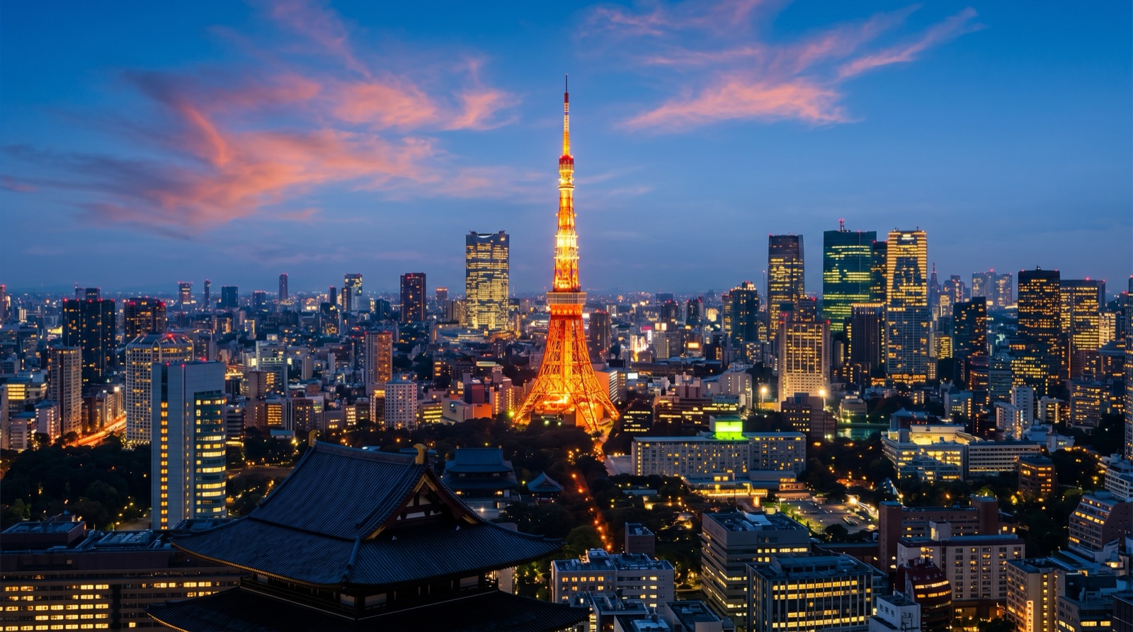 Private jet charter to Tokyo