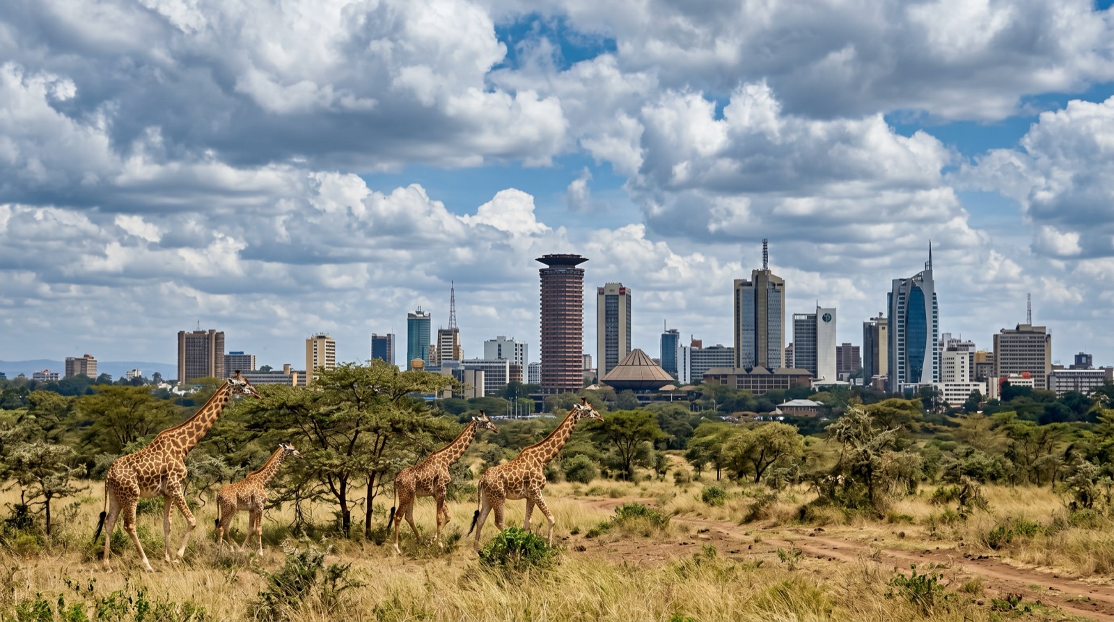Private jet charter to Nairobi